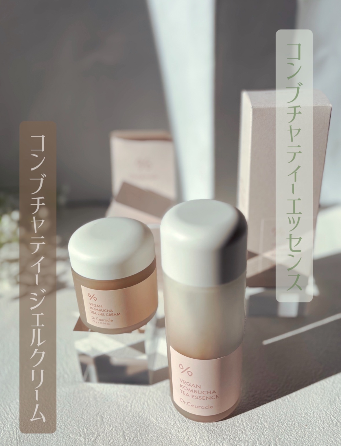 ビーガン コンブチャ ティー ジェル クリーム/Dr.Ceuracle/フェイスクリームを使ったクチコミ（2枚目）