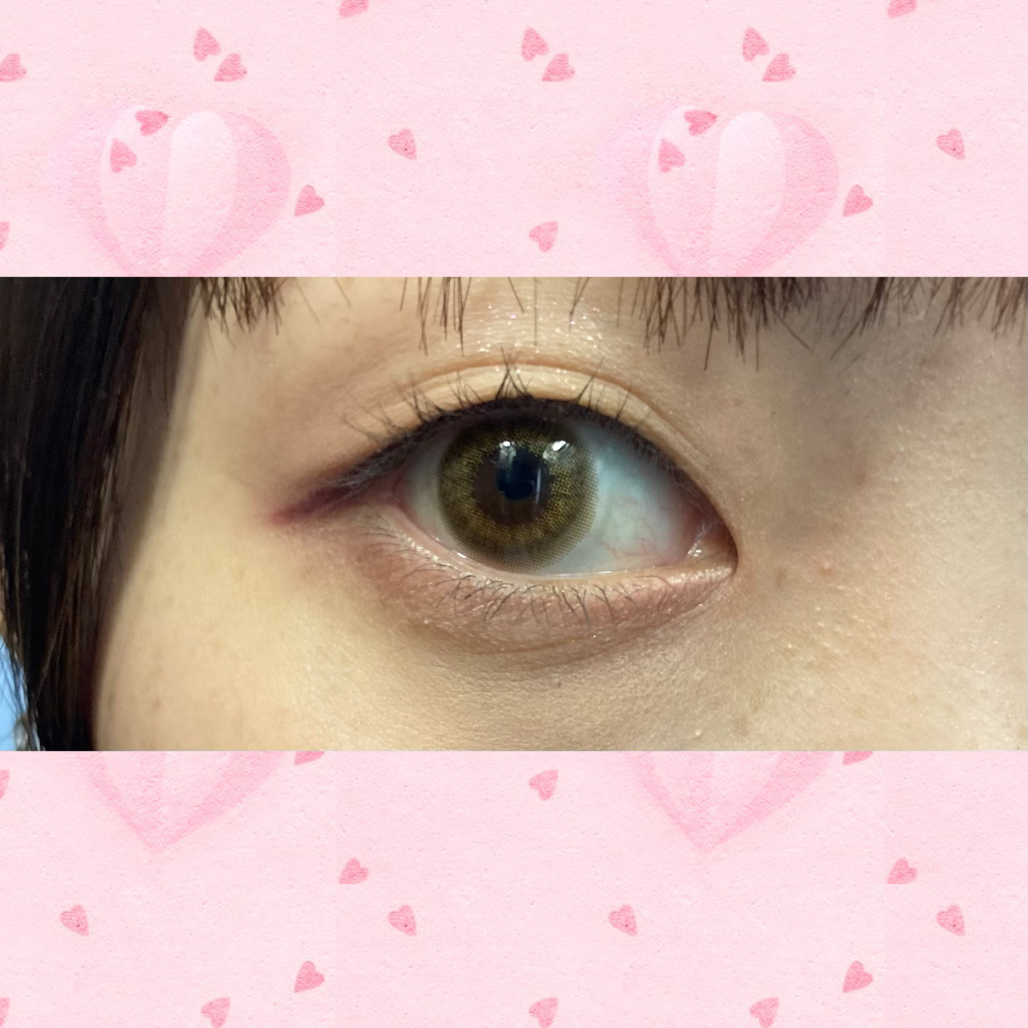 KM デイリートーンアイシャドウパレット/Kyumme/アイシャドウパレットを使ったクチコミ（3枚目）