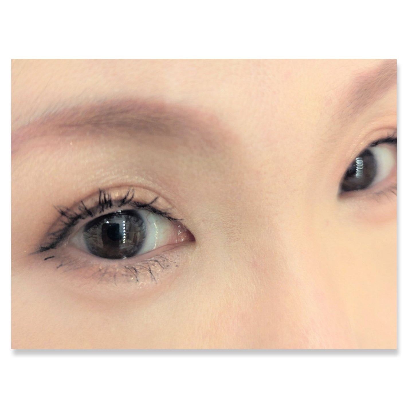 ダブル ムード アイズ/Visée/アイシャドウパレットを使ったクチコミ(2枚目)