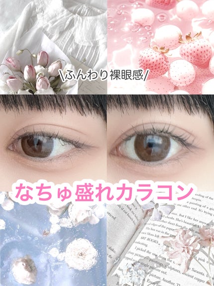 エバーカラーワンデー ナチュラル クリアキャメル/エバーカラー/ワンデー(1DAY)カラコンの画像