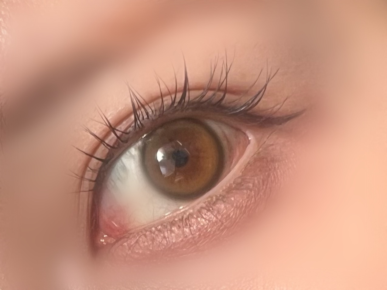 eyeis 1day メロブラウン/URIA i-DOL/ワンデー（１DAY）カラコンを使ったクチコミ（1枚目）