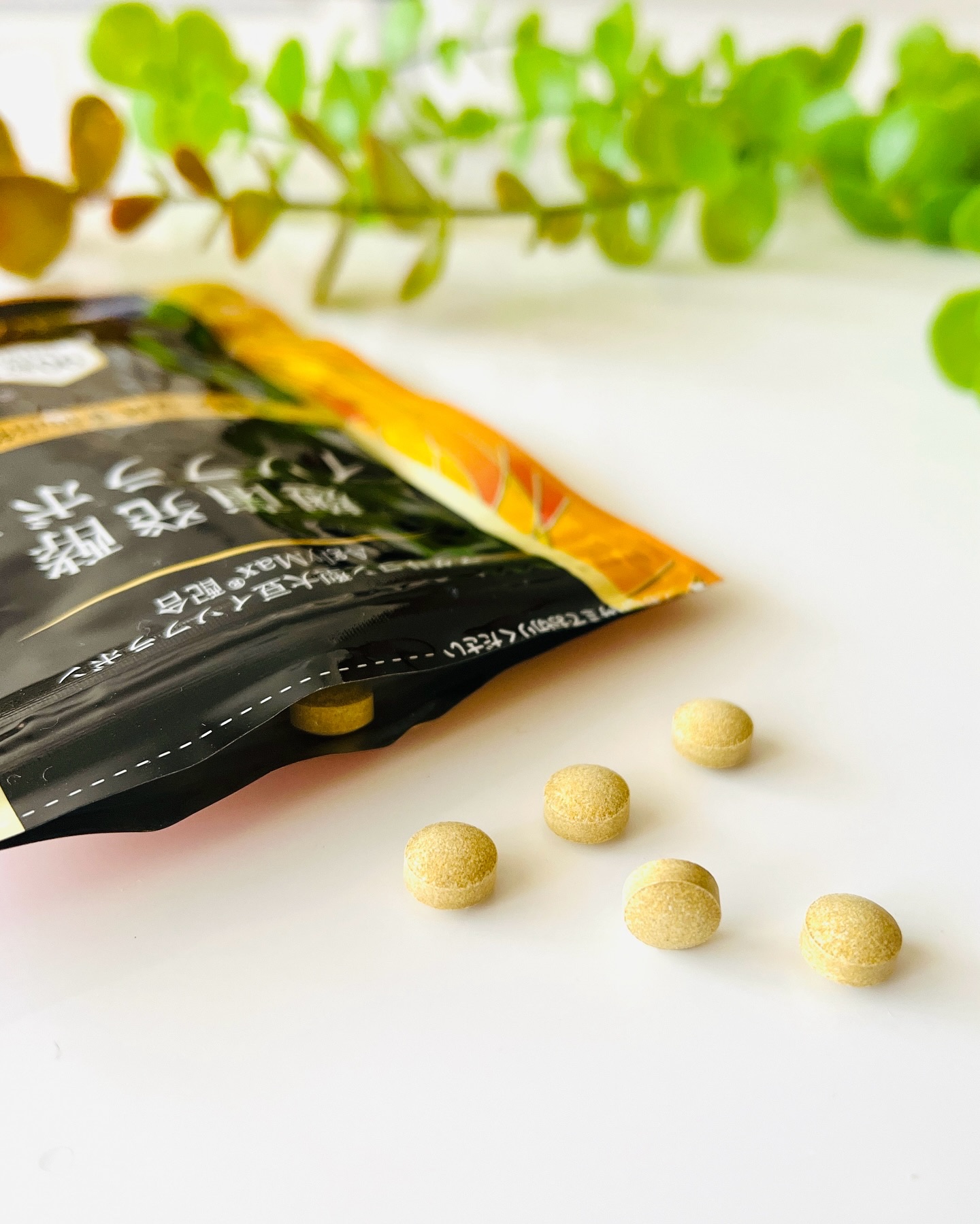 麹菌発酵イソフラボン 葉酸/ISOLACOM/健康サプリメントを使ったクチコミ（3枚目）