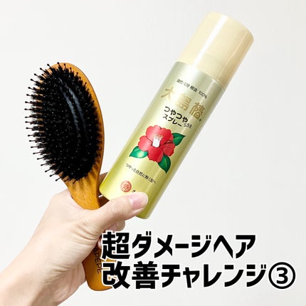 ヘアスプレー/大島椿/ヘアスプレーを使ったクチコミ(1枚目)