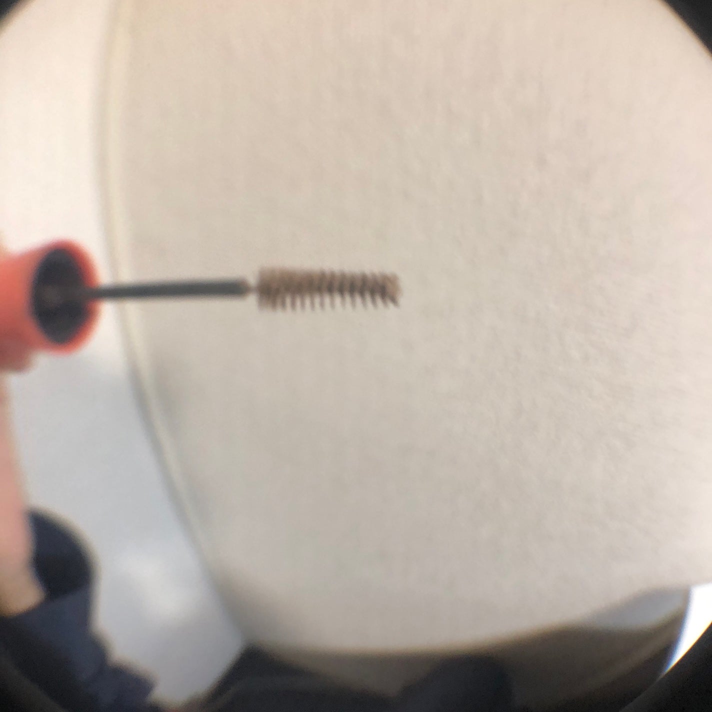 フィルム眉カラー/デジャヴュ/眉マスカラを使ったクチコミ(2枚目)