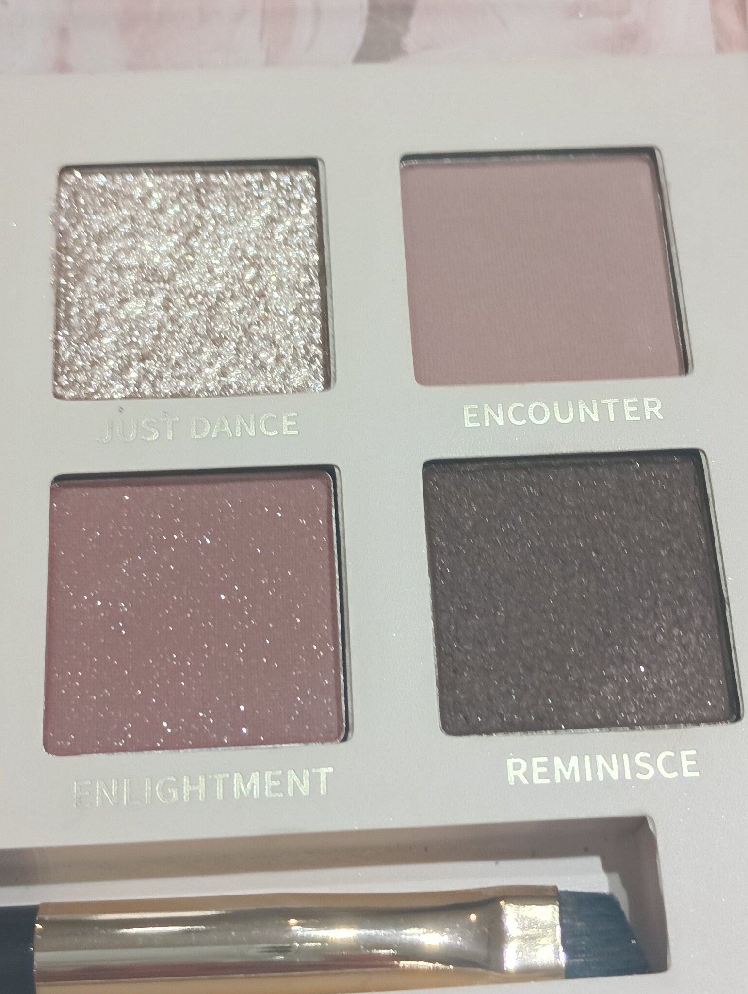 エクスプローラ12色 動物アイシャドウパレット/PERFECT DIARY/アイシャドウパレットを使ったクチコミ（3枚目）