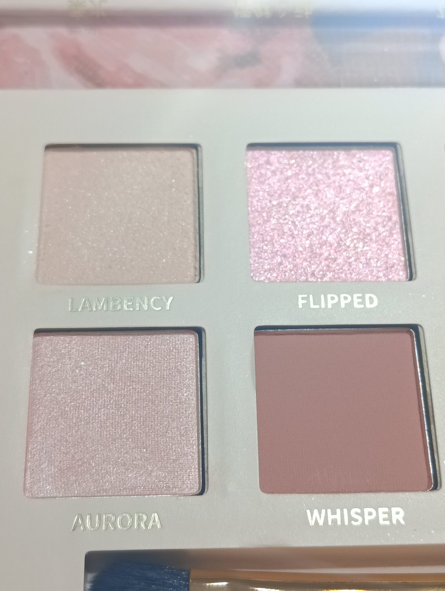 エクスプローラ12色 動物アイシャドウパレット/PERFECT DIARY/アイシャドウパレットを使ったクチコミ(5枚目)