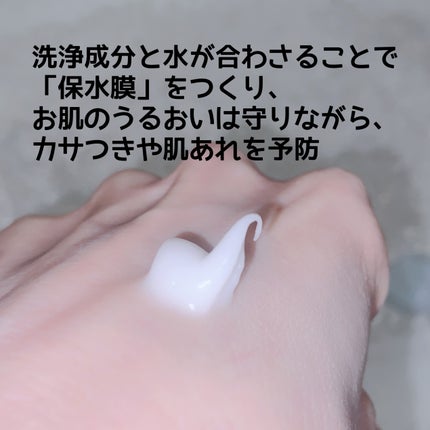 スキンコンディショニング洗顔/ファンケル/洗顔フォームを使ったクチコミ(2枚目)