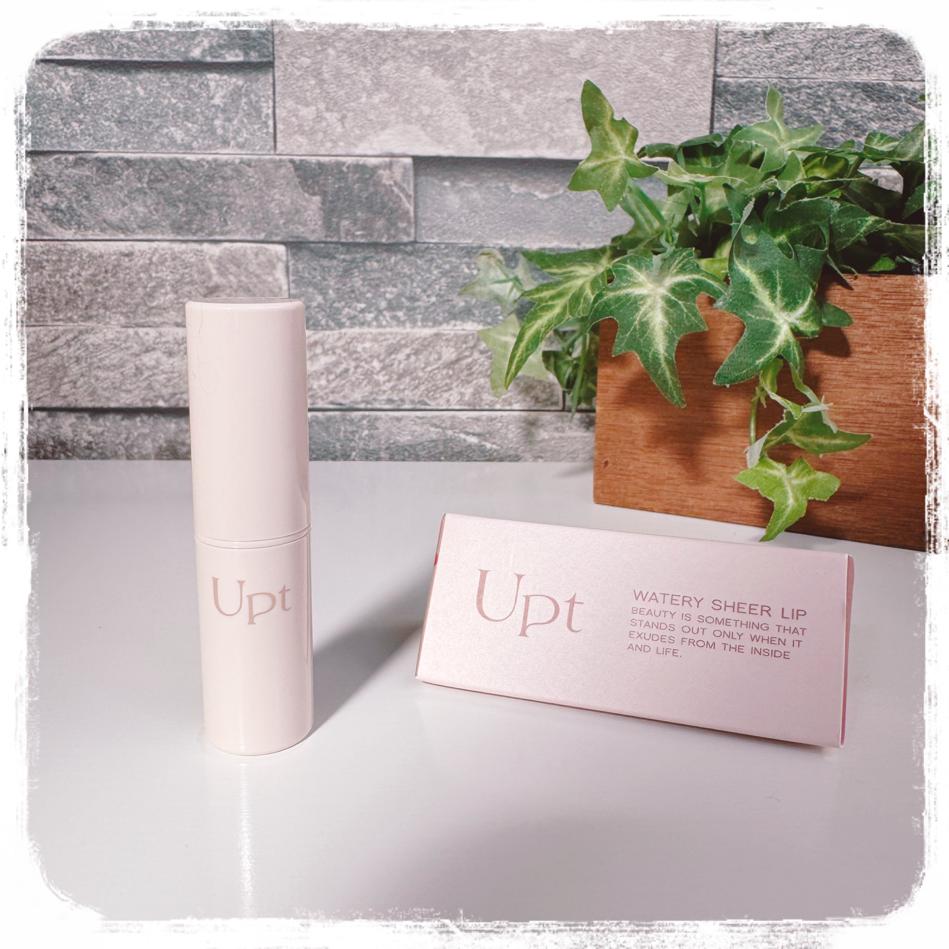 Upt WATERY SHEER LIP  05 rosy dew（ロージーデュー）/Upt/口紅を使ったクチコミ（1枚目）