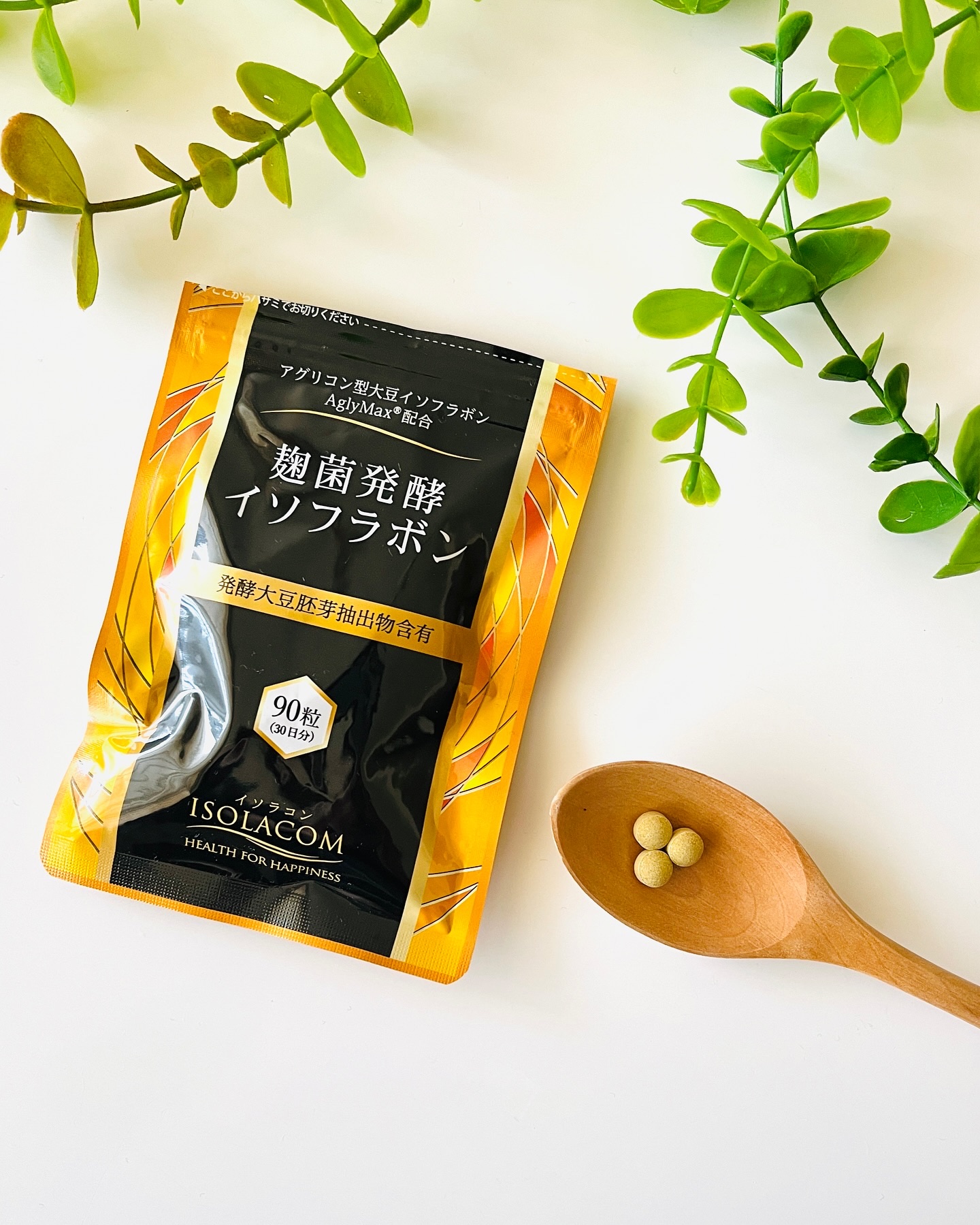 麹菌発酵イソフラボン 葉酸/ISOLACOM/健康サプリメントを使ったクチコミ（1枚目）