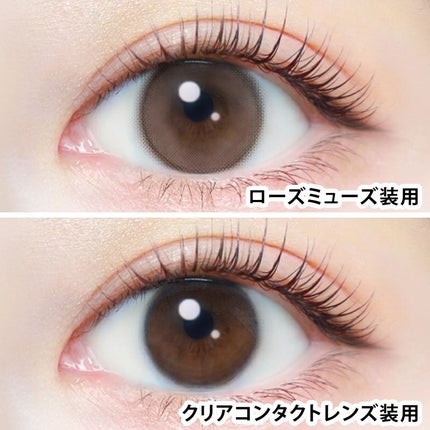 エバーカラーワンデーナチュラル モイストレーベルUV ローズミューズ/エバーカラー/ワンデー(1DAY)カラコンの画像