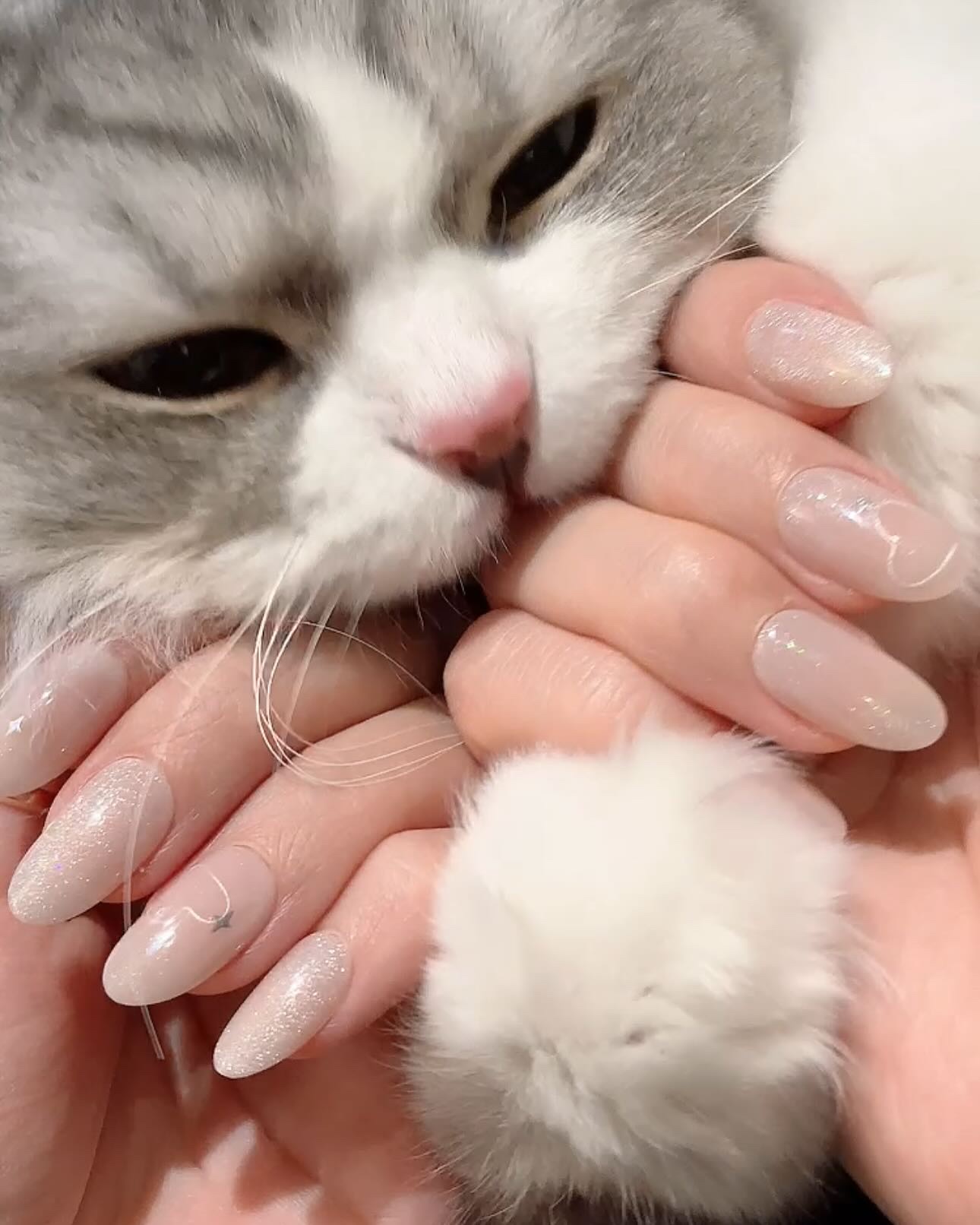 1秒ネイルマジックプレス/DASHINGDIVA MAGICPRESS/ネイルチップ・パーツを使ったクチコミ（2枚目）