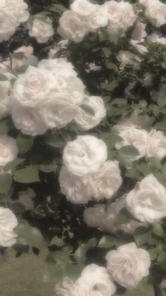 みなみ on LIPS 「【使った商品】【商品の特徴】【使用感】【良いところ】【イマイチ..」(1枚目)