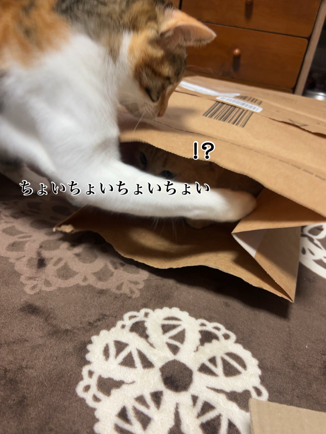 ðââ¬ã«ãããðŸ on LIPS ããããšå
¥ãããããŠæ»é²æŠã..ãïŒ3æç®ïŒ