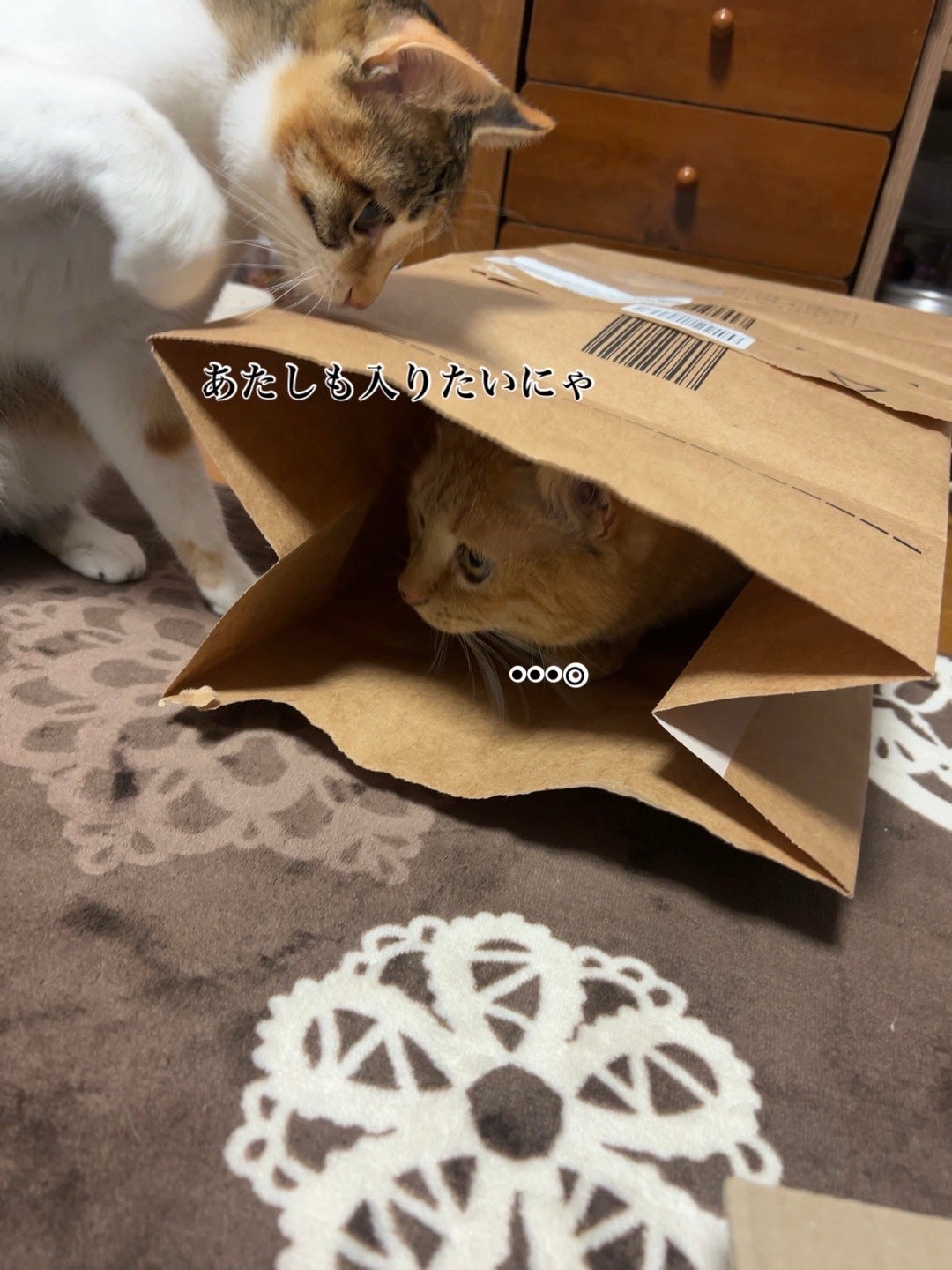 ðââ¬ã«ãããðŸ on LIPS ããããšå
¥ãããããŠæ»é²æŠã..ãïŒ2æç®ïŒ