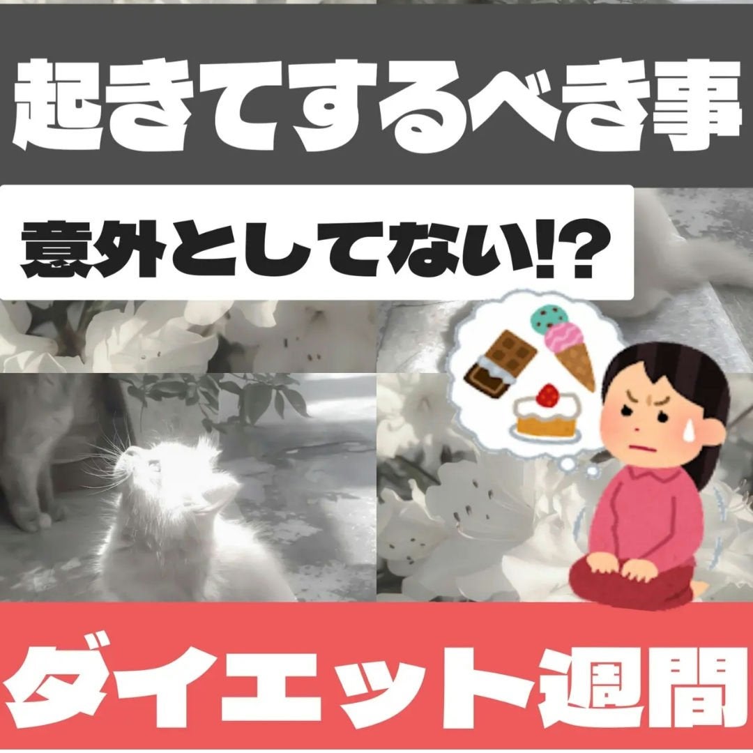 黒烏龍茶/サントリー/ドリンクを使ったクチコミ(1枚目)