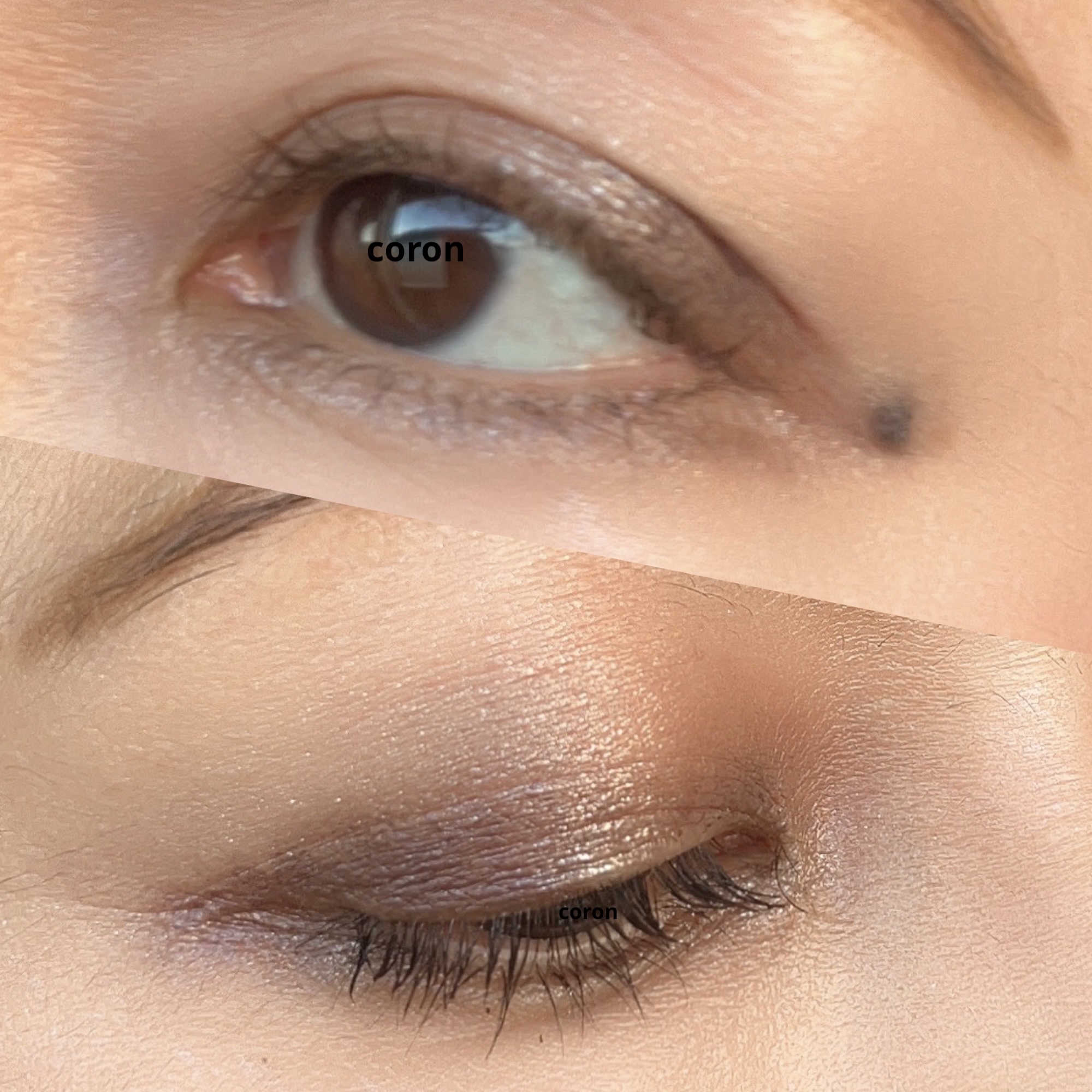 ジルスチュアート ムースブロウマスカラ/JILL STUART/眉マスカラを使ったクチコミ（2枚目）