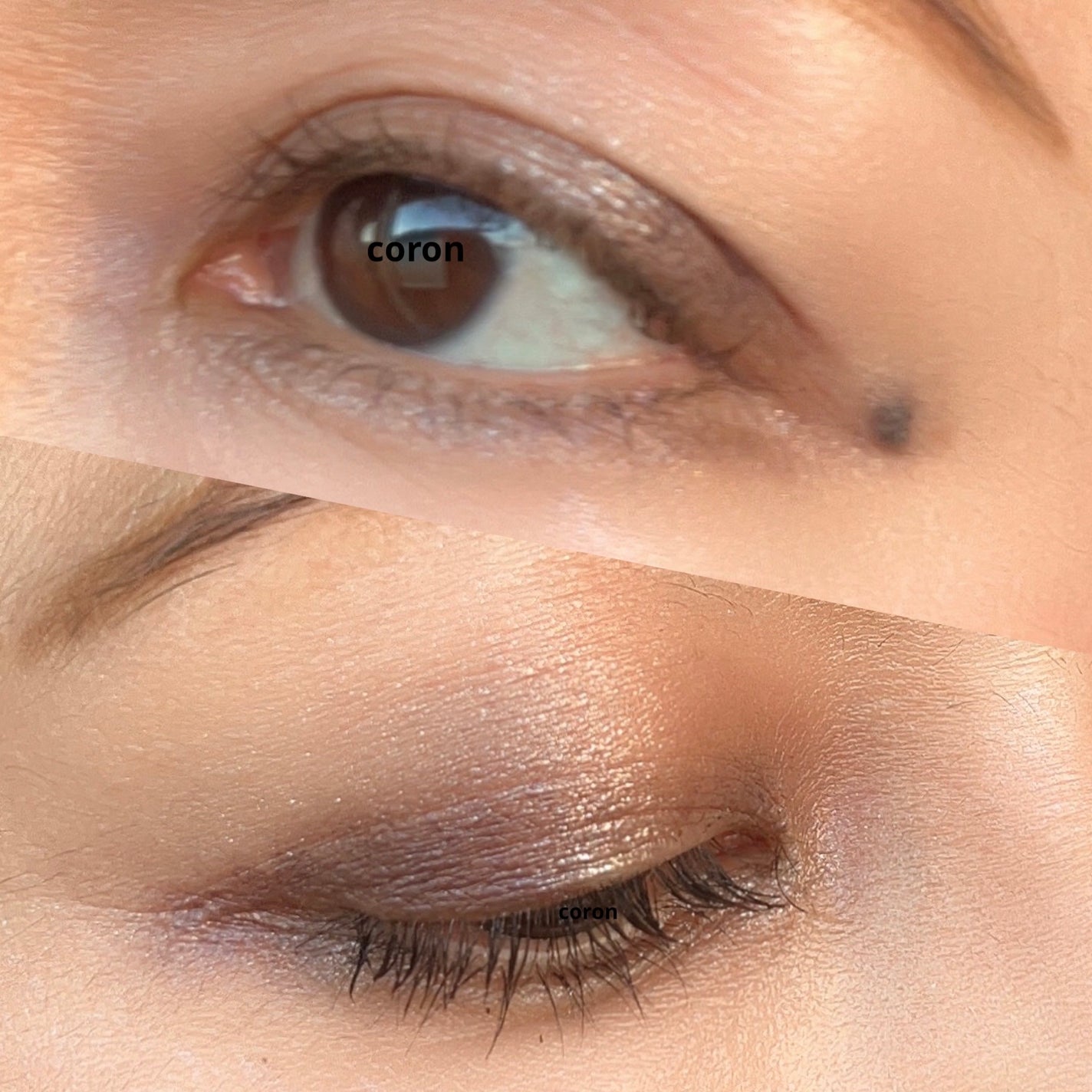 ãžã«ã¹ãã¥ã¢ãŒã ã ãŒã¹ãããŠãã¹ã«ã©/JILL STUART/çãã¹ã«ã©ã䜿ã£ãã¯ãã³ãïŒ2æç®ïŒ