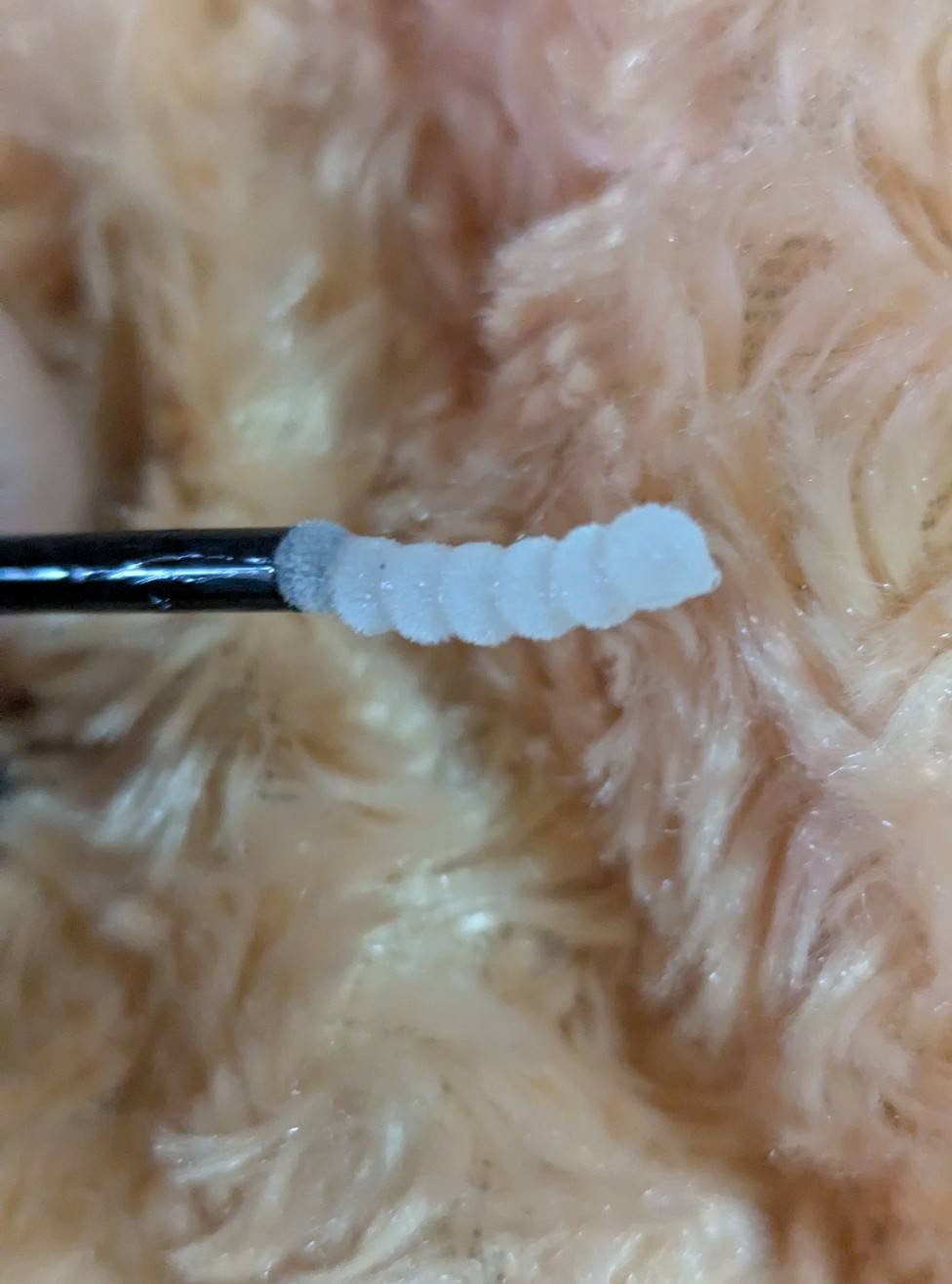 まつげ美容液リッチプラス/CEZANNE/まつげ美容液を使ったクチコミ（2枚目）