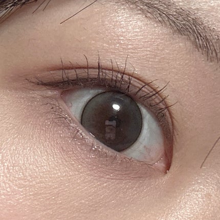 シルキースフレアイズ(マットタイプ)/キャンメイク/アイシャドウパレットを使ったクチコミ(2枚目)