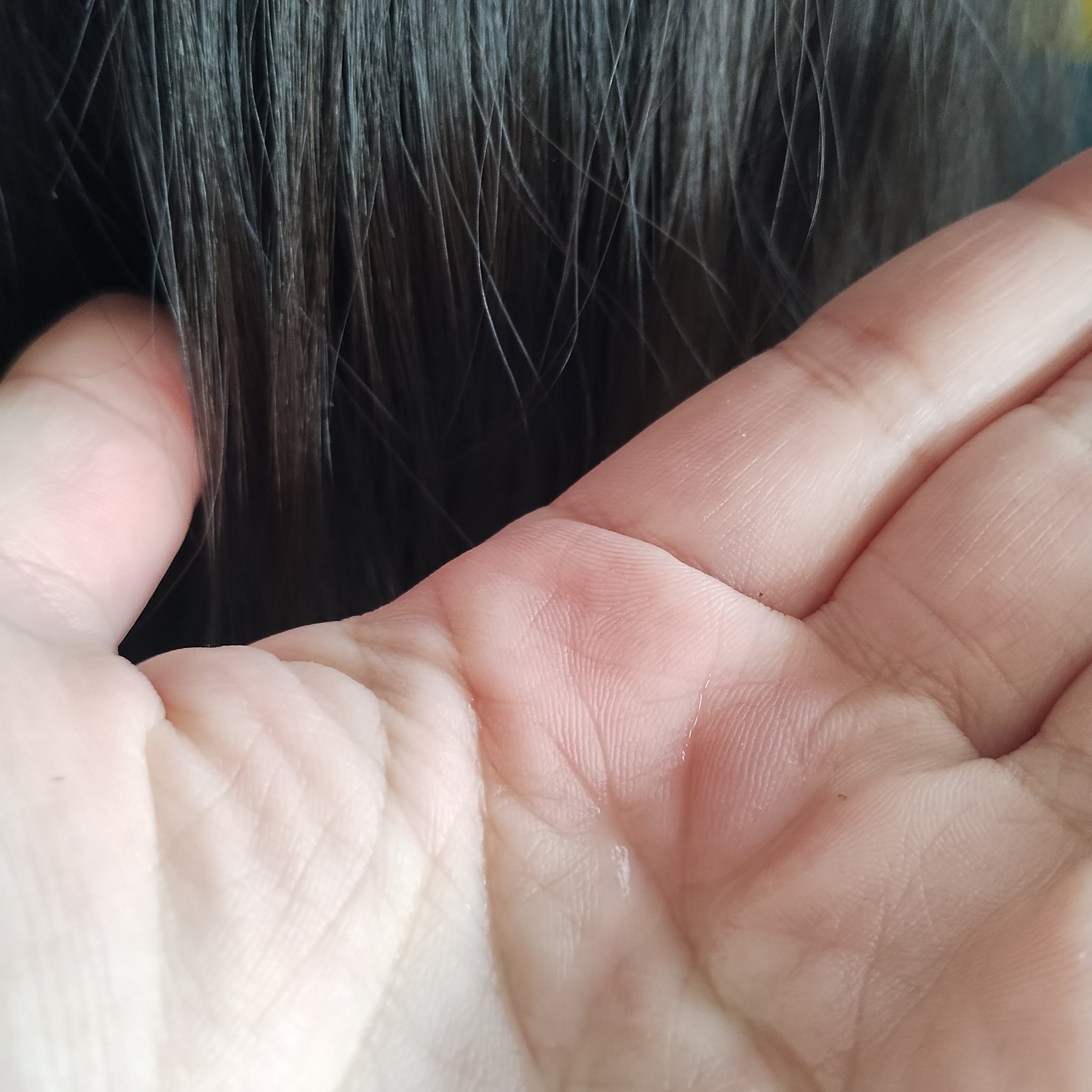 スムース コンディショニング ウォーター/melt/アウトバストリートメントを使ったクチコミ（3枚目）