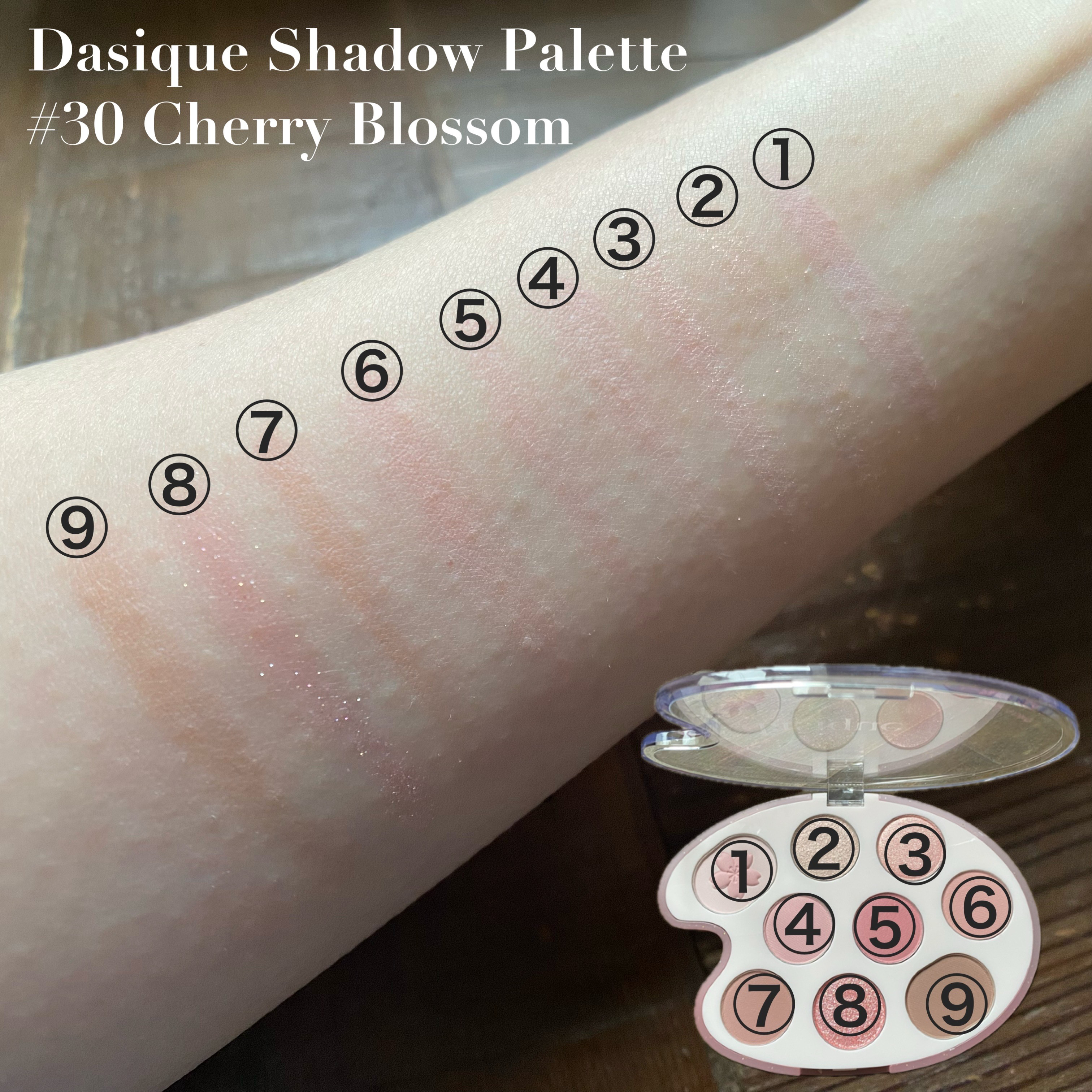 シャドウパレット/dasique/アイシャドウパレットを使ったクチコミ（2枚目）