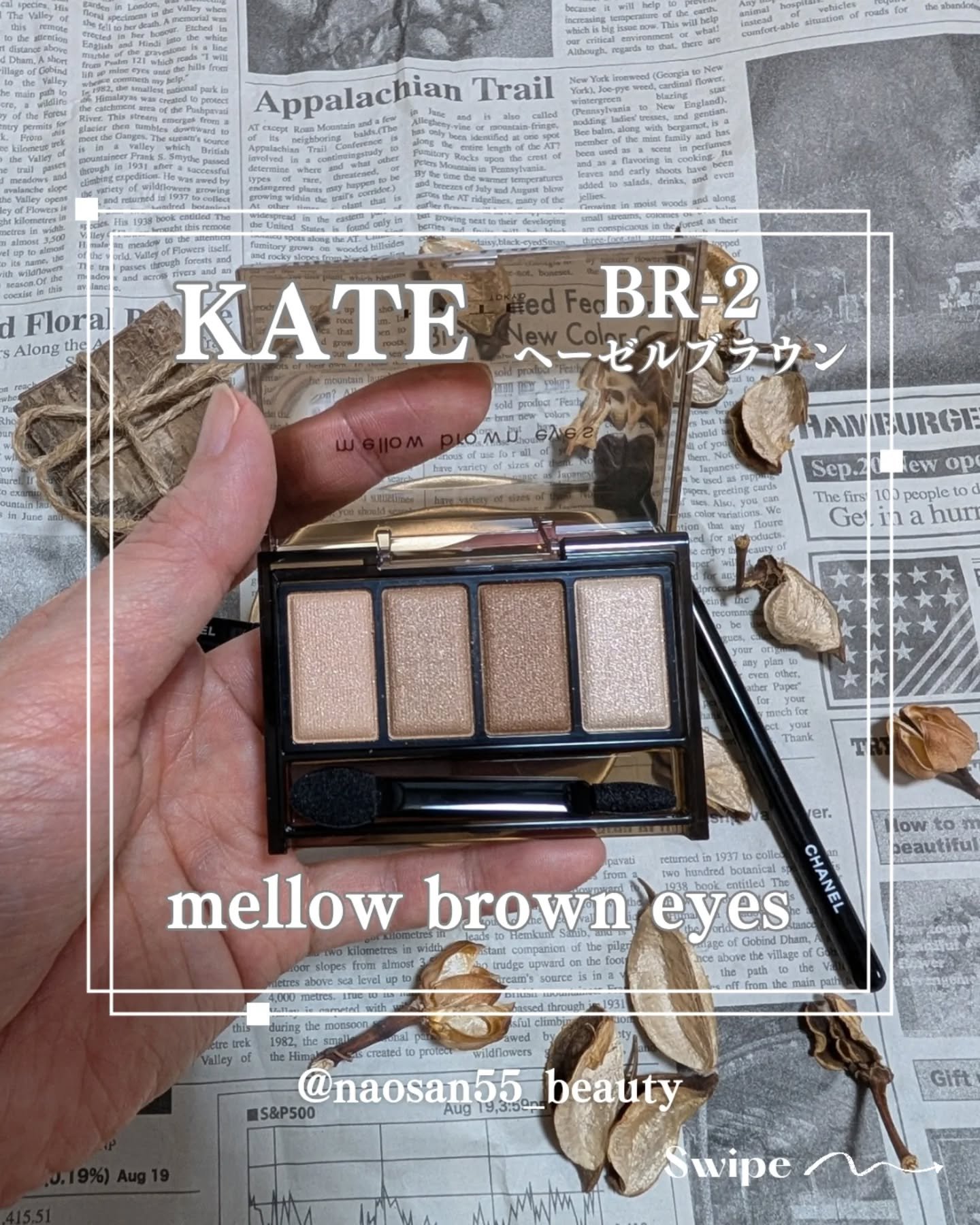 ケイト メロウブラウンアイズ BR-2 ヘーゼルブラウン/KATE/アイシャドウパレットを使ったクチコミ（1枚目）