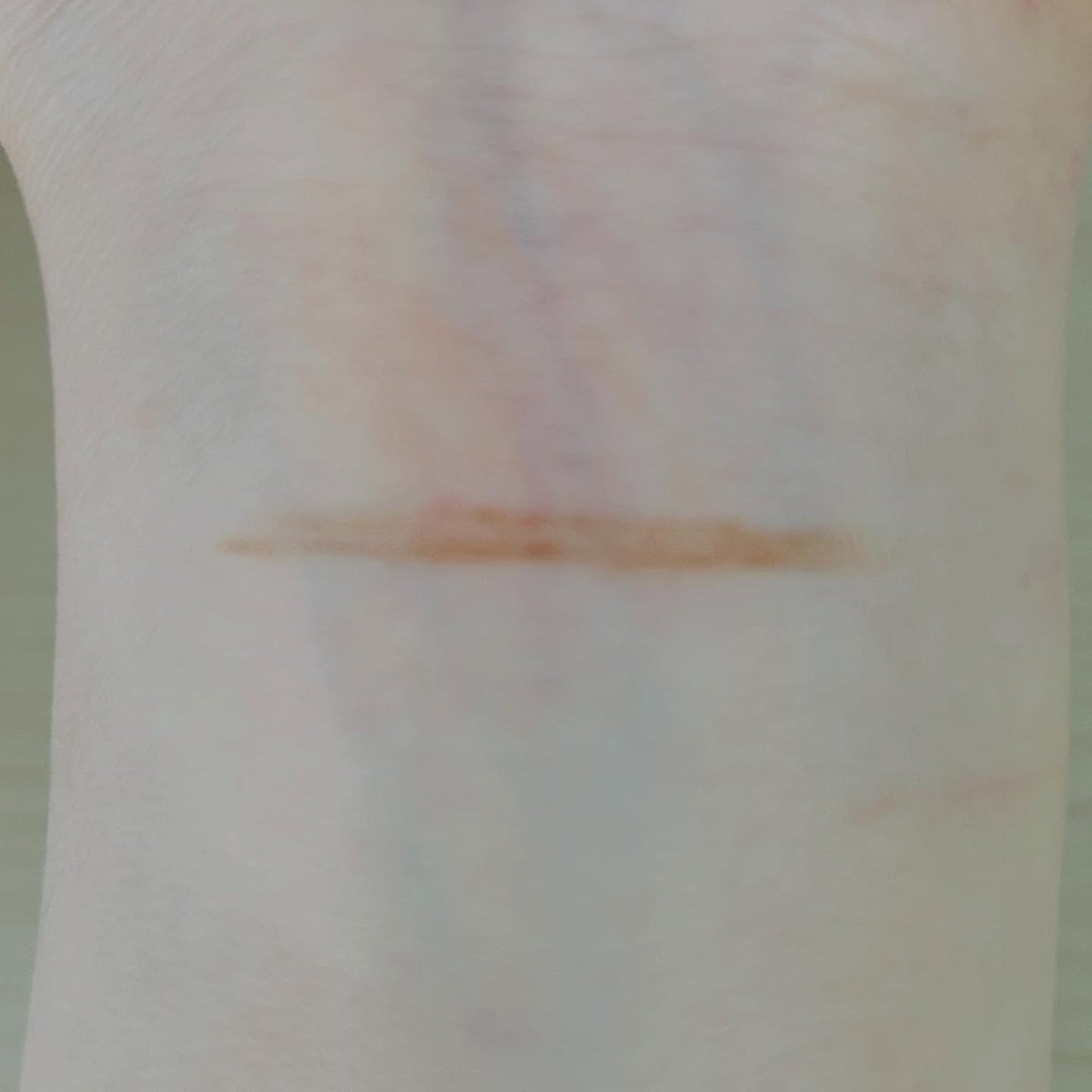 フィルム眉カラー/デジャヴュ/眉マスカラを使ったクチコミ(4枚目)