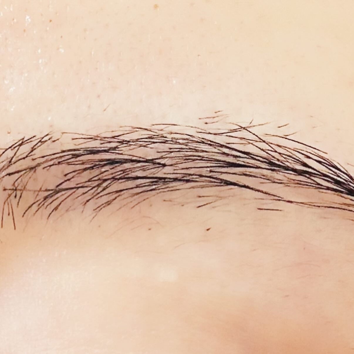 フィルム眉カラー/デジャヴュ/眉マスカラを使ったクチコミ(5枚目)