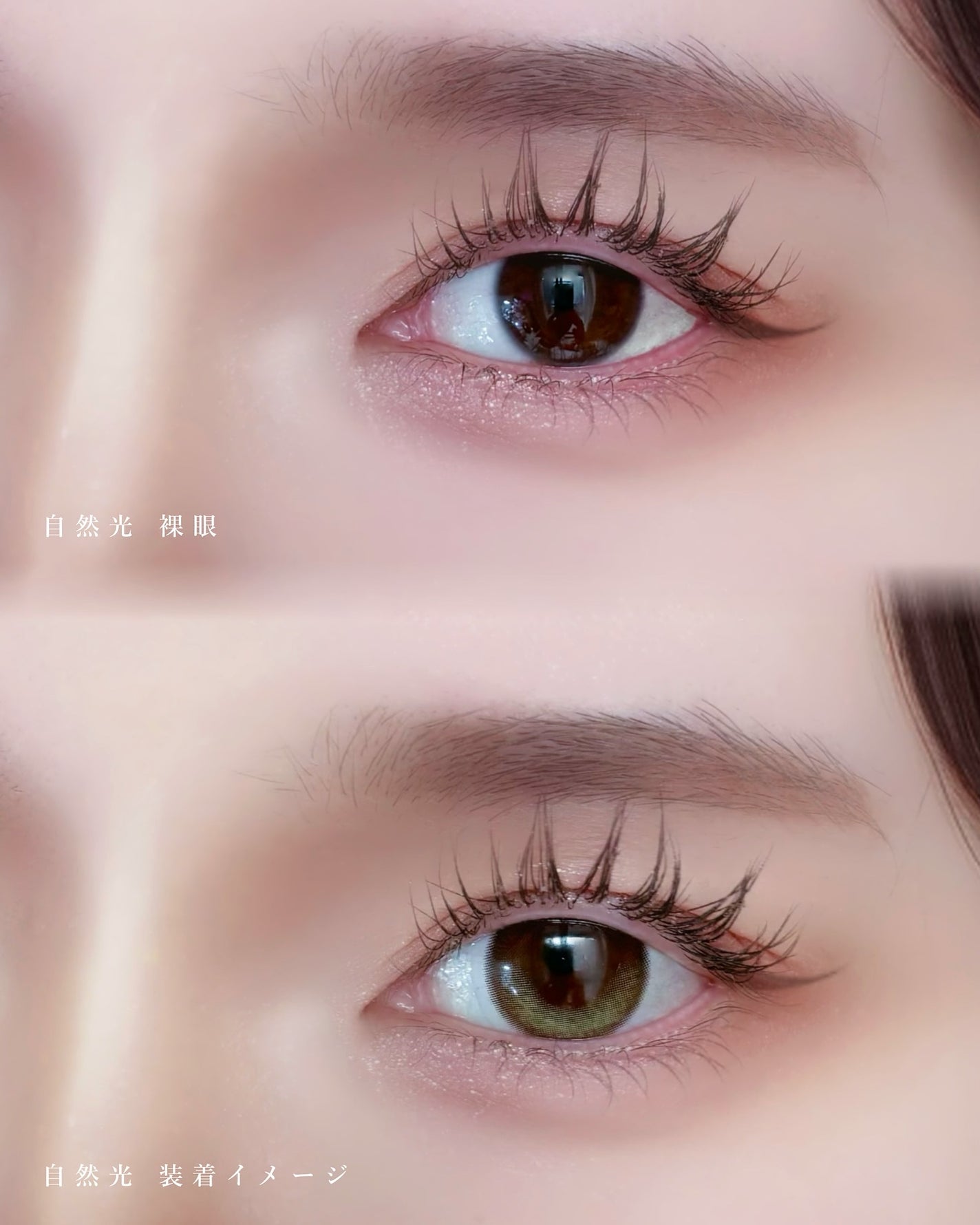 Glowy 1day/OLENS/ワンデー(1DAY)カラコンを使ったクチコミ(4枚目)