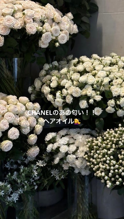 MOTON シルクヘアオイル トワイライトジャーニー/MOTON/ヘアオイルを使ったクチコミ(1枚目)