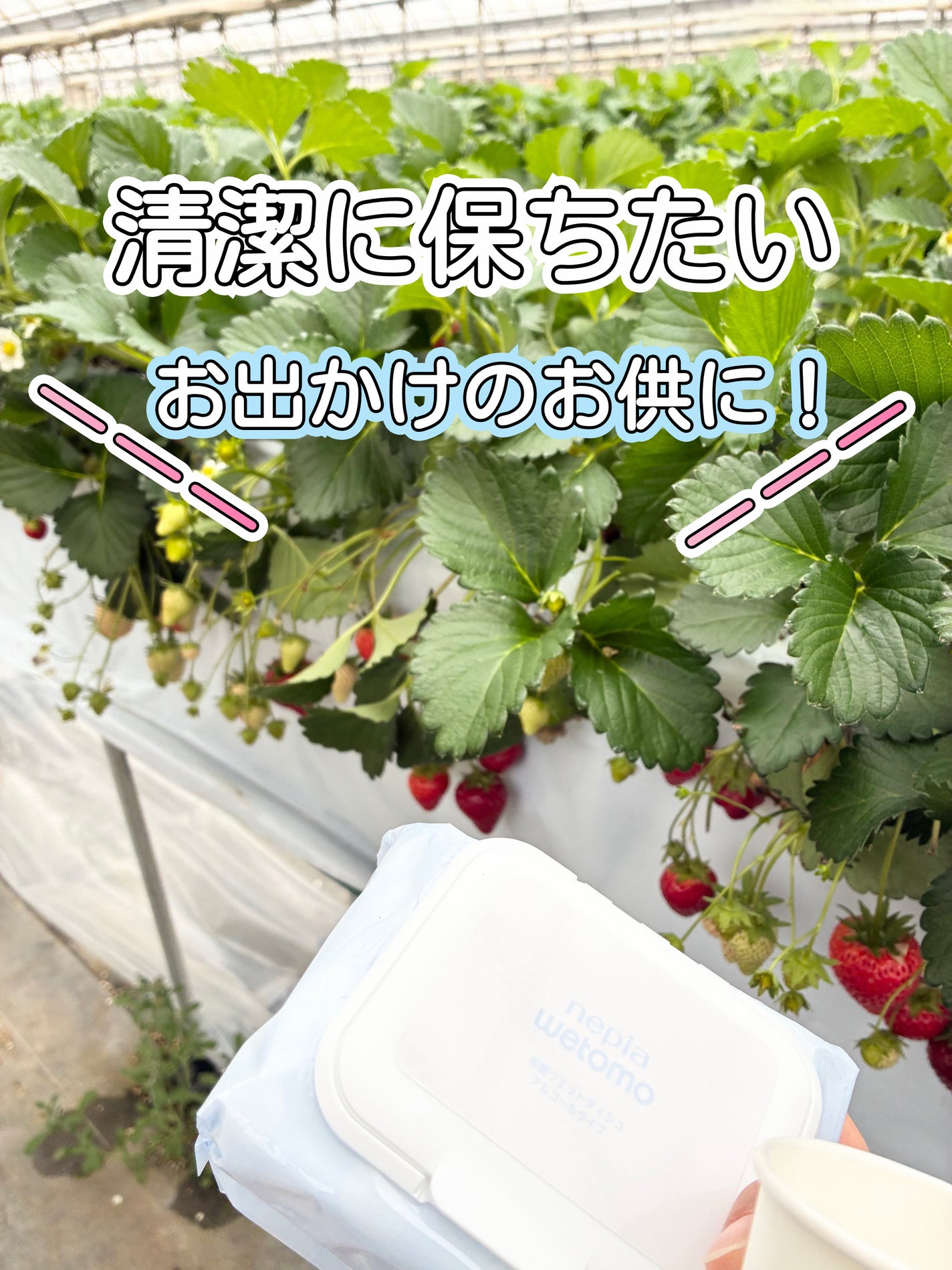 ãªãªãªðŒãã©ãã100ãã on LIPS ã#PR#ããã¢wetomo#ãŠã§ãããã£ãã·ã¥#é€èã¢ã«ã³ãŒã«..ãïŒ1æç®ïŒ