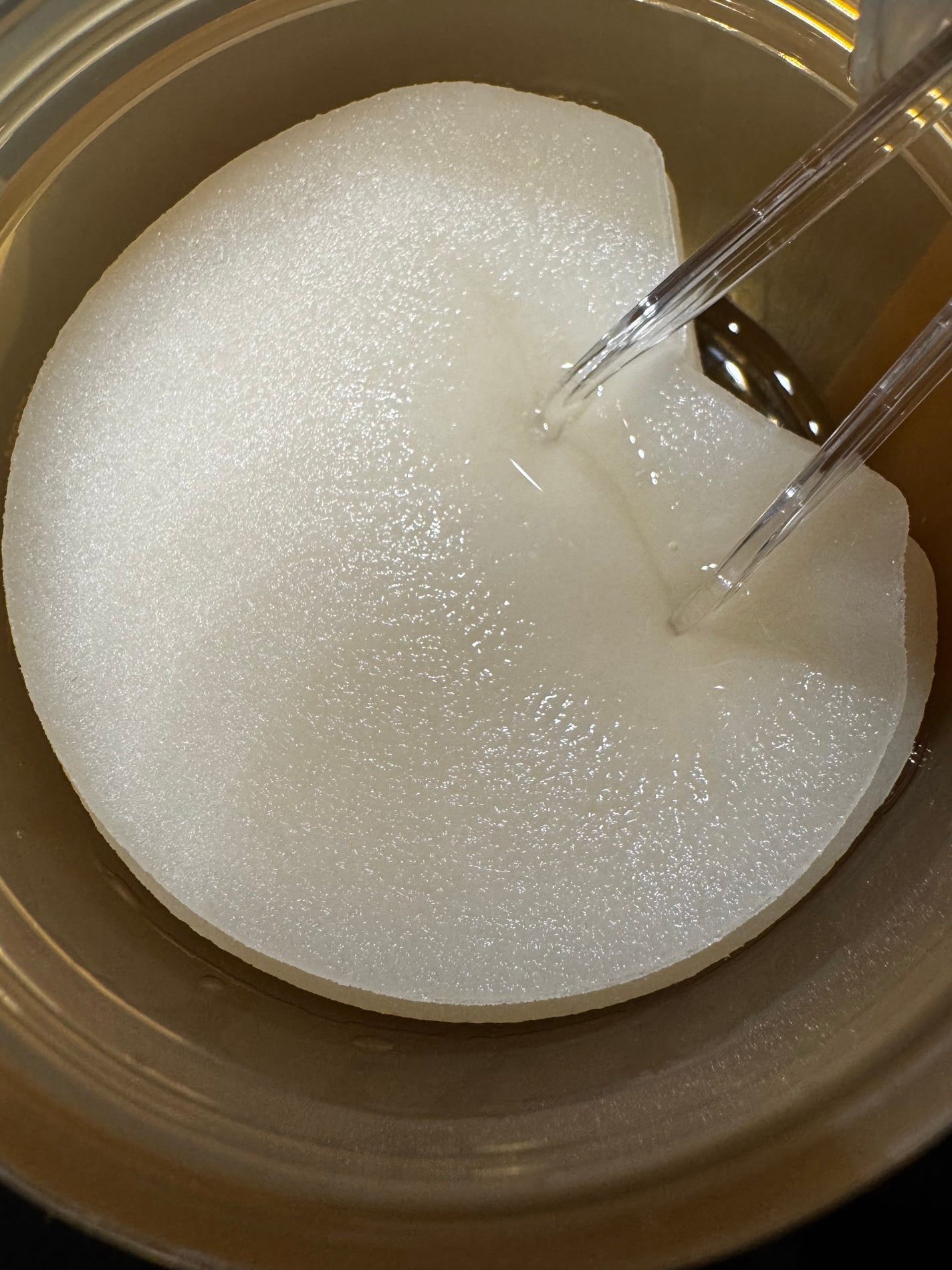 センテラ クイックカーミングパッド/SKIN1004/トナーパッドを使ったクチコミ(2枚目)