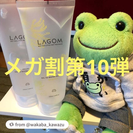 マイクロフォーム クレンザー(MI)/LAGOM /洗顔フォームを使ったクチコミ(1枚目)