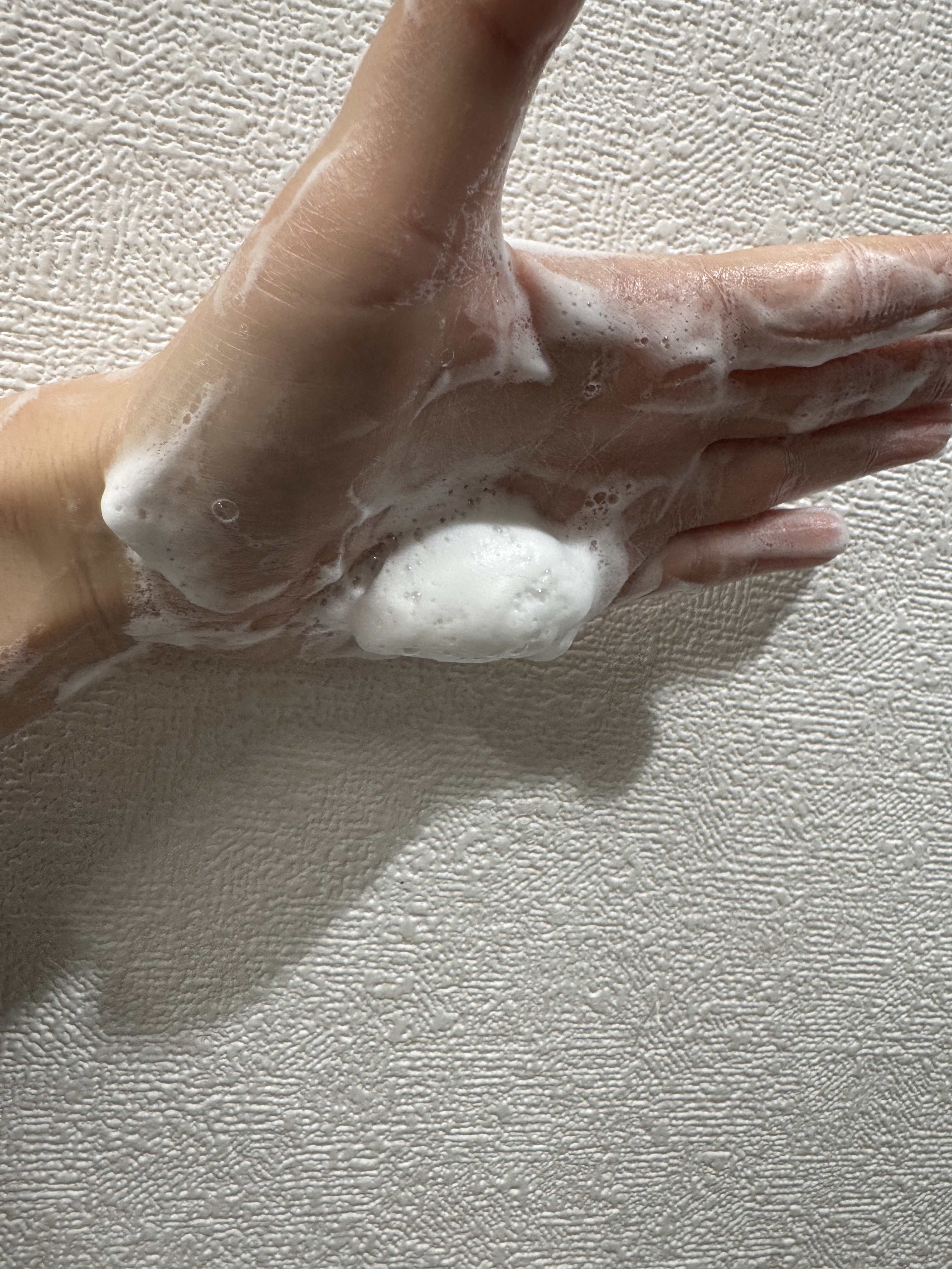 スキンコンディショニング洗顔/ファンケル/洗顔フォームを使ったクチコミ（3枚目）