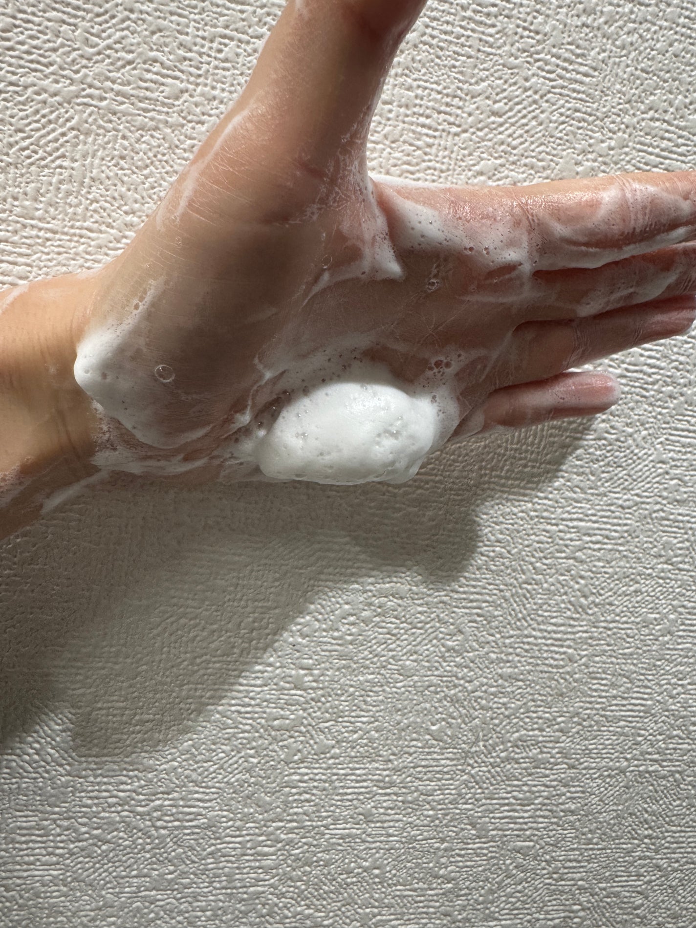 スキンコンディショニング洗顔/ファンケル/洗顔フォームを使ったクチコミ(3枚目)