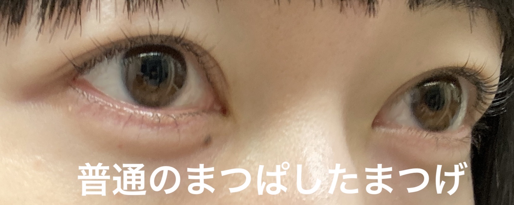 アイラッシュセラム/VIYEUX/まつげ美容液を使ったクチコミ（2枚目）