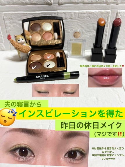 スティロ オンブル エ コントゥール 48 ドリーム リーフ/CHANEL/スティックアイシャドウを使ったクチコミ(1枚目)