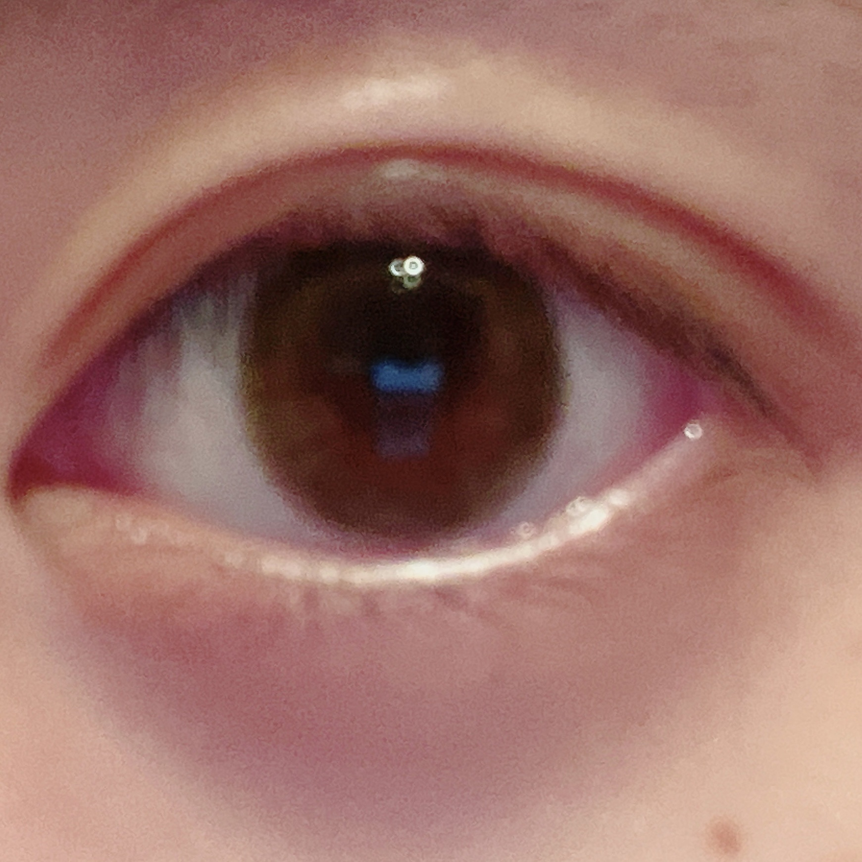 TOPARDS 1day/TOPARDS/ワンデー（１DAY）カラコンを使ったクチコミ（3枚目）