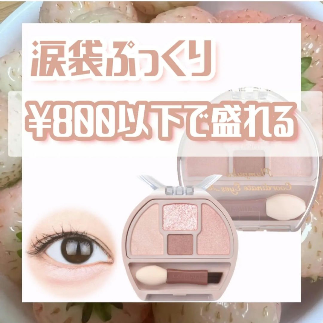 プランぷくコーデアイズNeo/キャンメイク/アイシャドウを使ったクチコミ（1枚目）