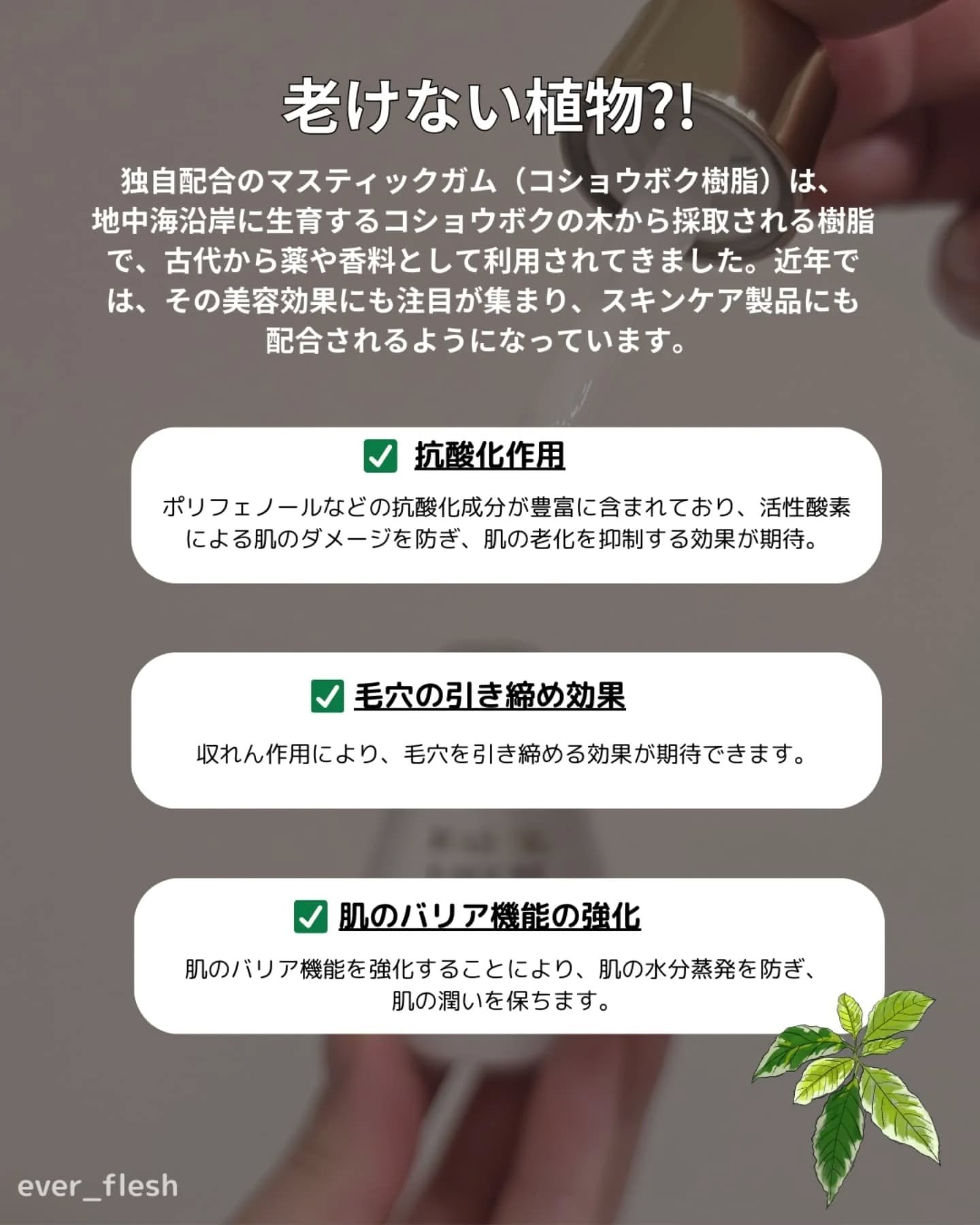 Mastic 6 Hours Ampoule /Mastina/美容液を使ったクチコミ（3枚目）