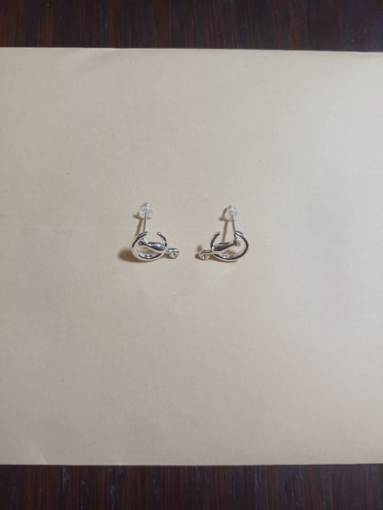 つっしー on LIPS 「楽天ルームでの、購入品🤩🐹ピアスで、ポイントで、購入したよ〜〜..」(1枚目)