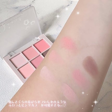 ブラーフィニシュシャドウパレット/Dinto/アイシャドウパレットを使ったクチコミ(1枚目)