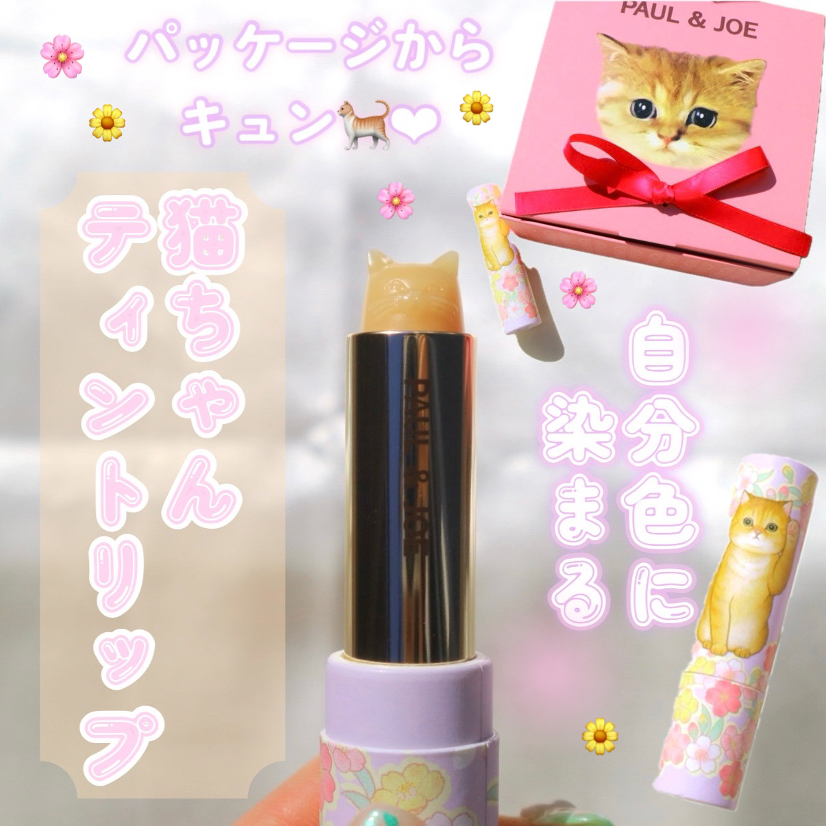 ティント リップスティック/PAUL & JOE BEAUTE/リップティントを使ったクチコミ（1枚目）