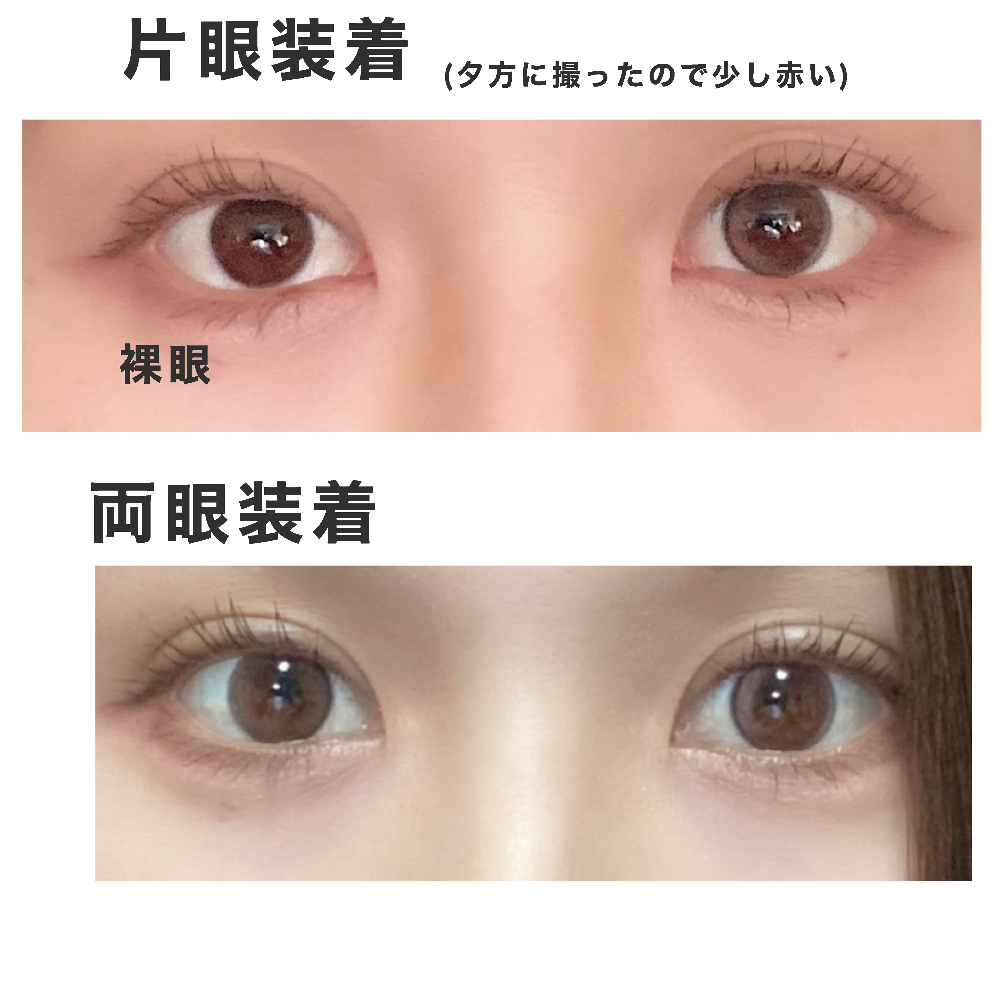 a-eye 1day メルティングピンク/Refrear/ワンデー（１DAY）カラコンを使ったクチコミ（2枚目）