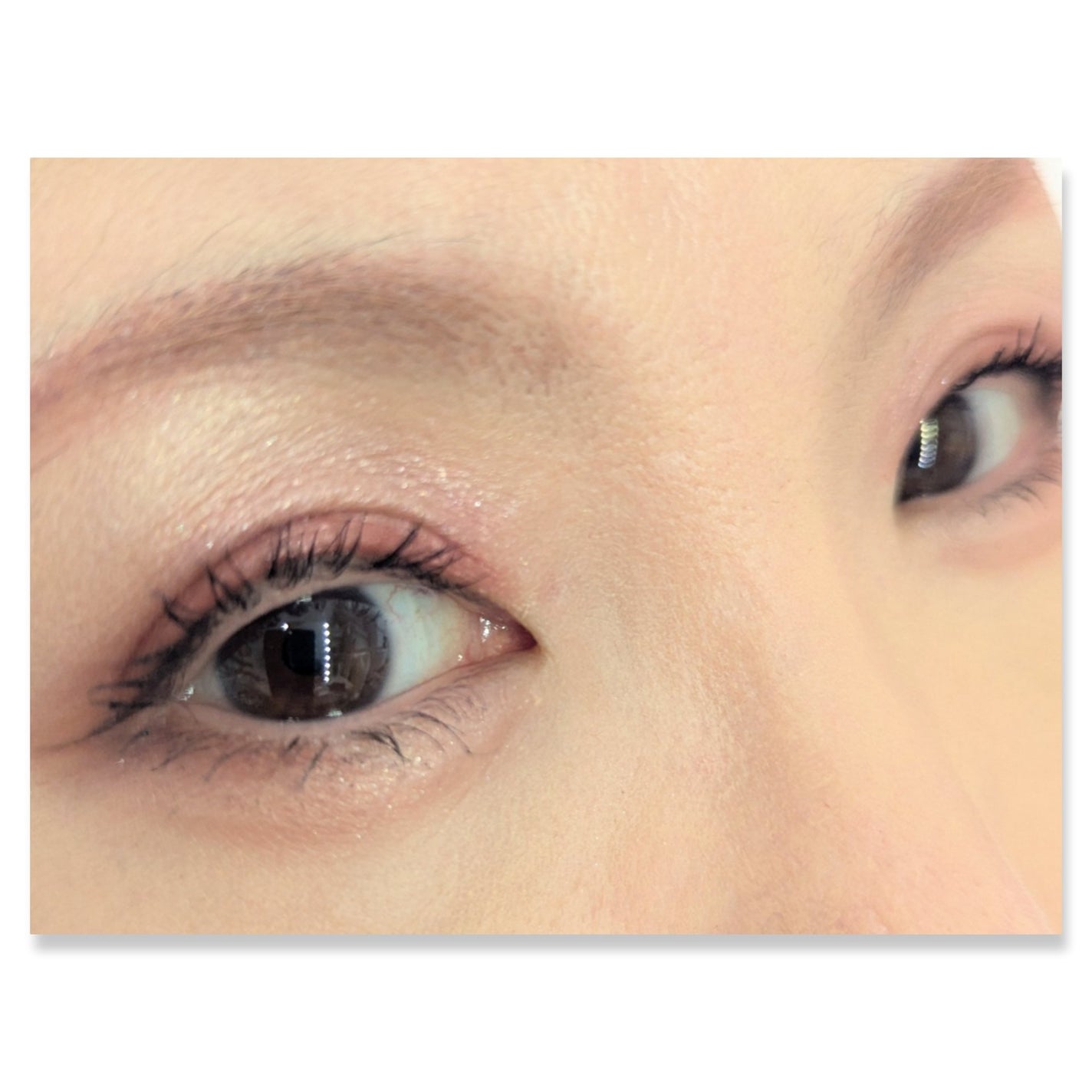 ミネラルクラッシィシャドー/エトヴォス/アイシャドウパレットを使ったクチコミ(2枚目)