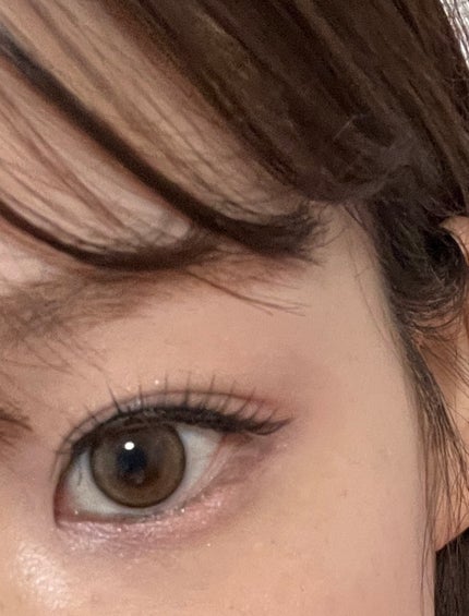 つけまつ毛/SHEIN/つけまつげを使ったクチコミ(1枚目)