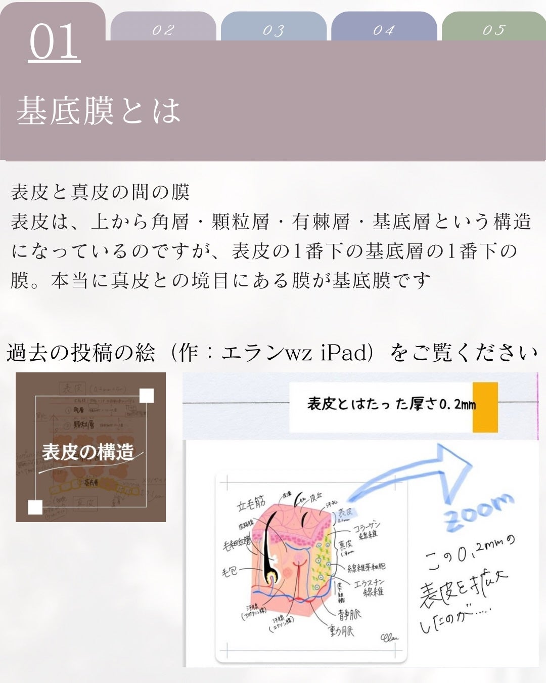 エリクシール ザ セラム aa(医薬部外品)/エリクシール/美容液を使ったクチコミ(2枚目)