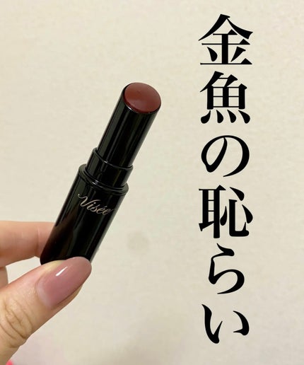 ネンマクフェイク ルージュ/Visée/口紅を使ったクチコミ(1枚目)