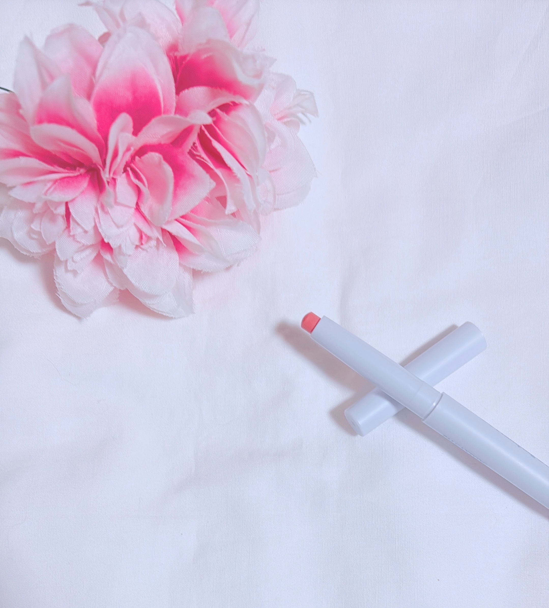 プランピングオーバーリップ/パルガントン/リッププランパーを使ったクチコミ（2枚目）