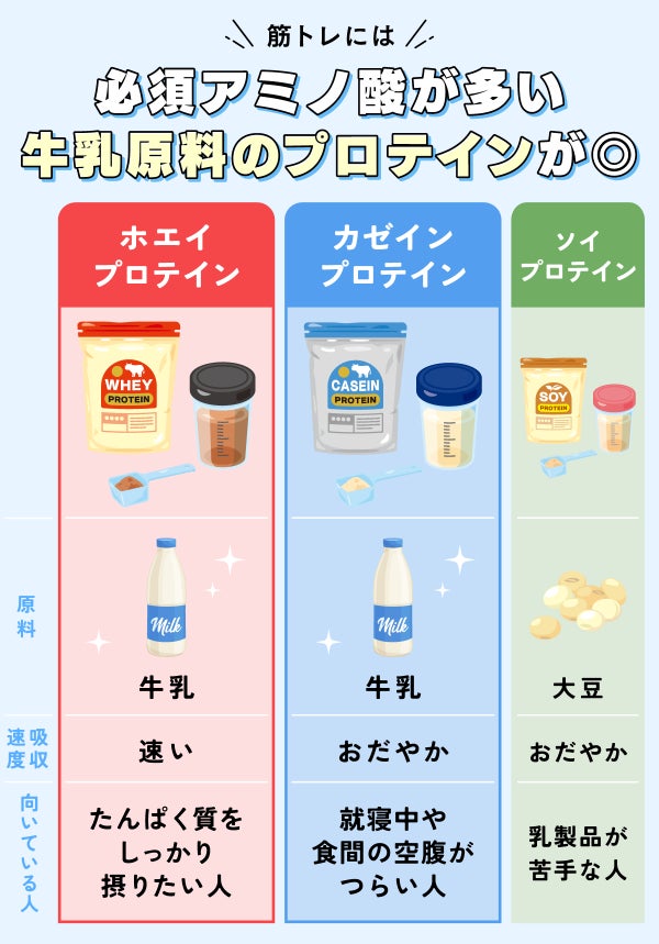 筋トレには必須アミノ酸が多い牛乳原料のプロテインが◎。ホエイプロテインは牛乳が原料で吸収速度が速い。たんぱく質をしっかり摂りたい人におすすめ。カゼインプロテインは牛乳が原料で吸収速度がおだやか。就寝中や食感の空腹がつらい人におすすめ。ソイプロテインは大豆が原料で吸収速度がおだやか。乳製品が苦手な人におすすめ。